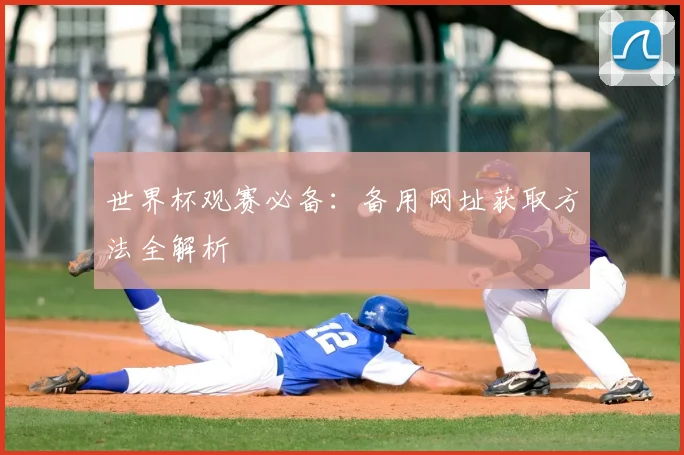 世界杯观赛必备：备用网址获取方法全解析