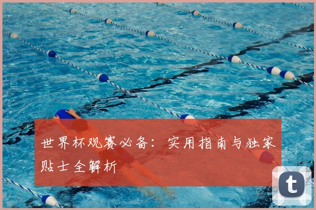 世界杯观赛必备：实用指南与独家贴士全解析
